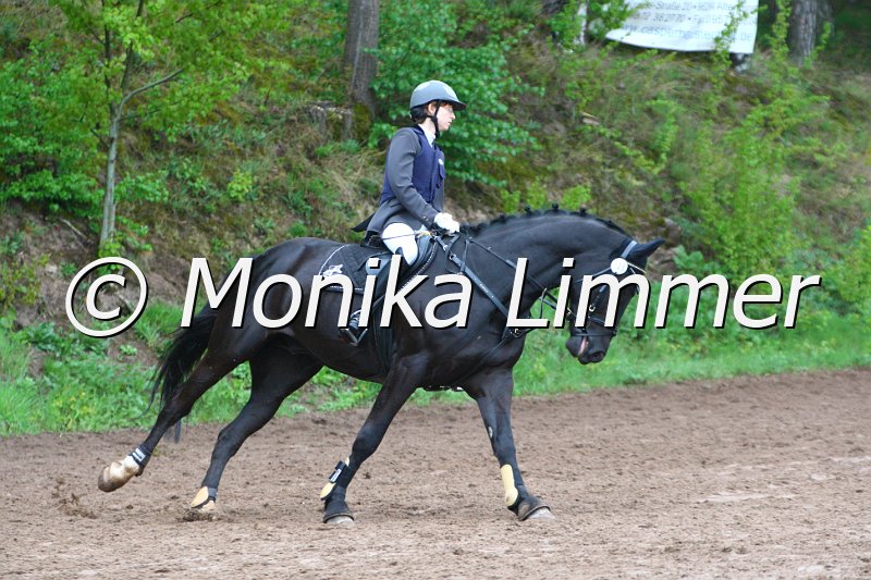 005L4916_Azurro_Spring  Ax.JPG